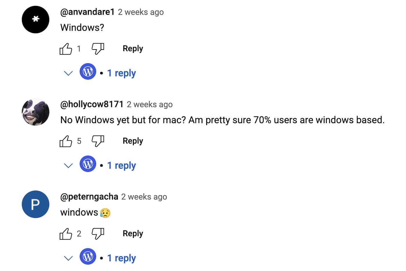 comments about a Windows version of Studio on YouTube