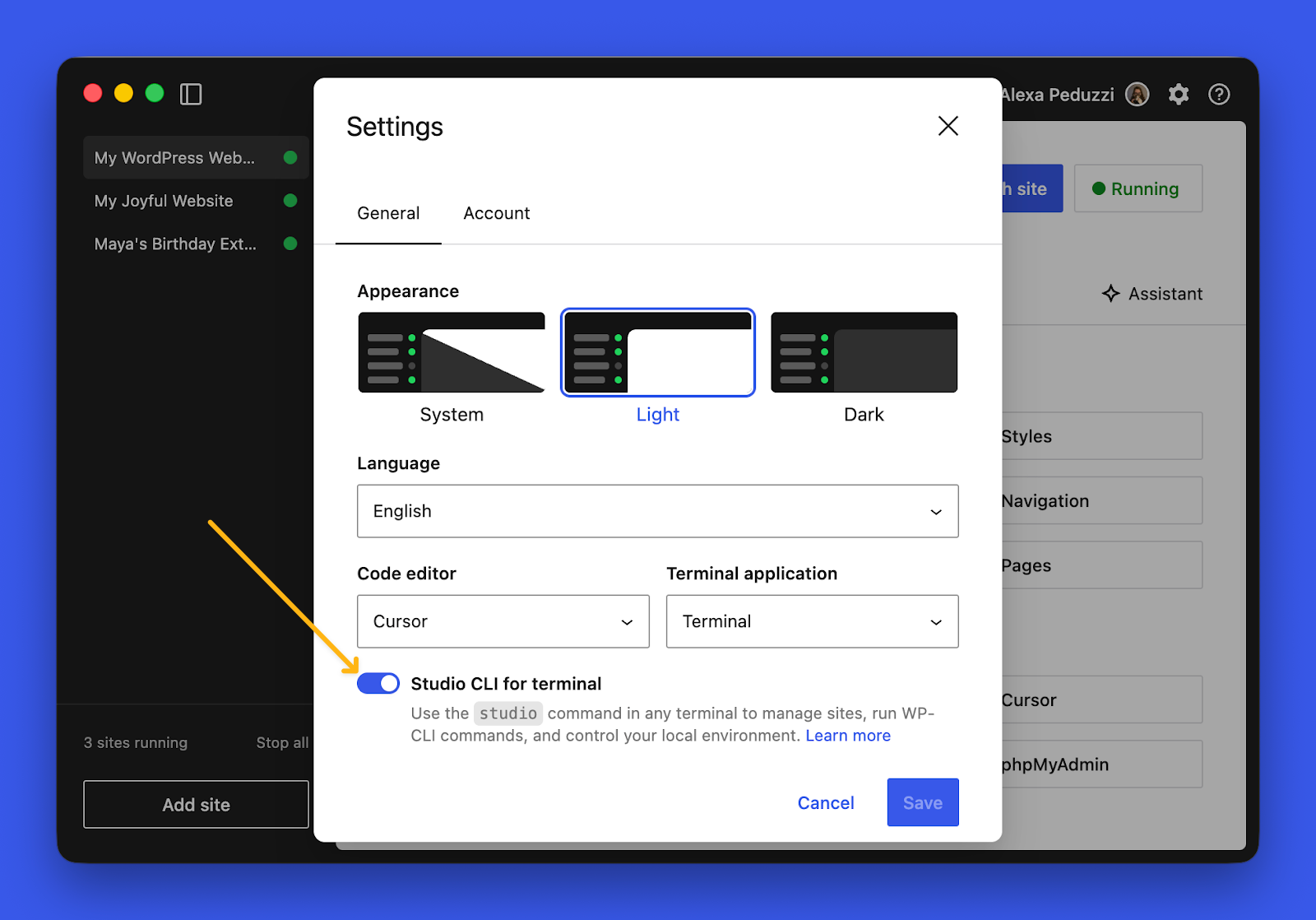 The WordPress Studio Settings window showing the Studio CLI for terminal toggle, appearance settings, and more